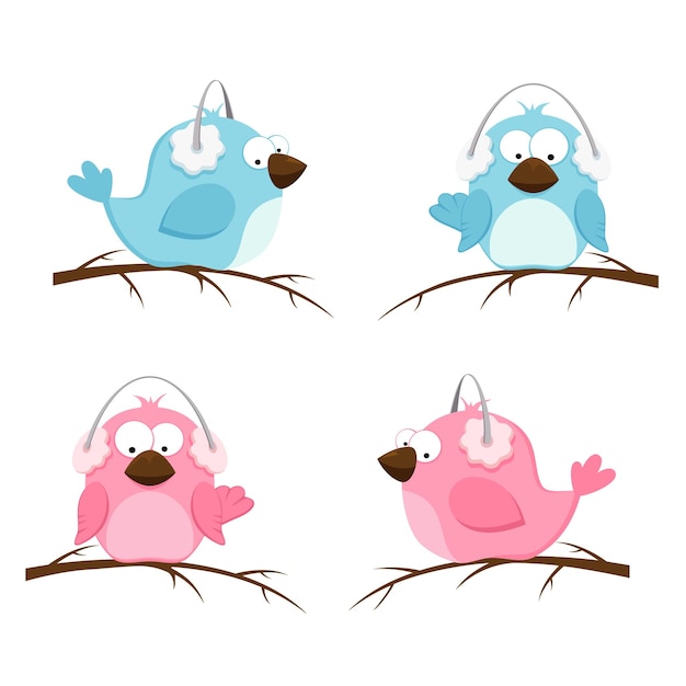 Vector pink and blue birds