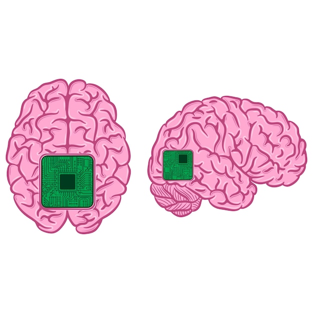 Vector pink brain with chip silhouettes set