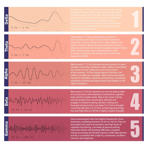 Set di grafici rosa per le onde cerebrali