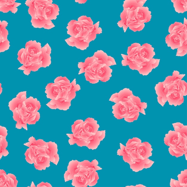 Pink Carnation Flower on Blue Background.