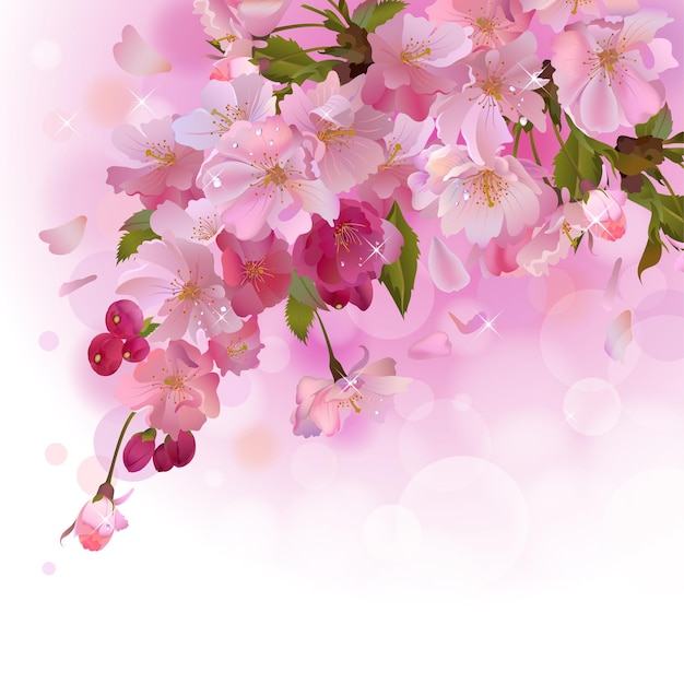 Vector pink cherry blooming branch of sakura flowers