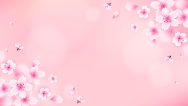 pink cherry blossom background with copy space vector design