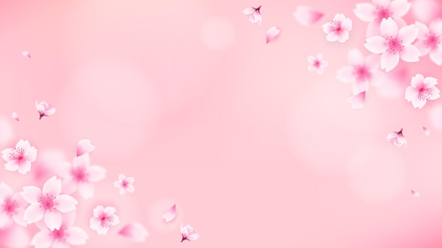 Premium Vector | Pink cherry blossom background with copy space vector  design