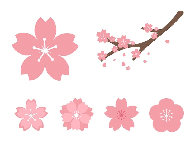 Pink cherry blossom illustration set elements of japan plants spring cute etc