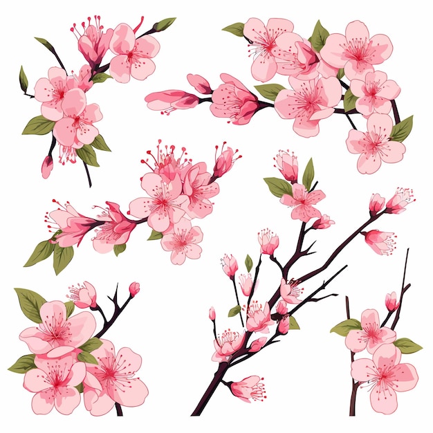 pink cherry blossom vector