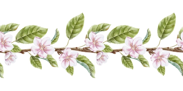 pink cherry flowers on branch leaves banner of blooming japanese sakura and splashes isolated hand drawn watercolor seamless border botanical lane for tableware packaging of goods cosmetic card
