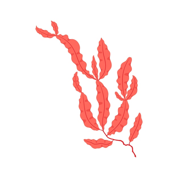 Vector pink coral seaweed gorgonian plant with leaves