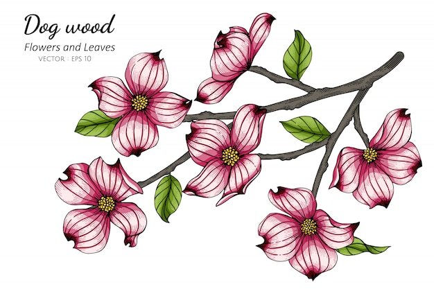 화이트 라인 아트와 핑크 층 층 나무 꽃과 잎 그리기 그림
