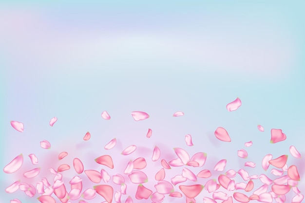 Pink falling sakura petals and flowers.Nature horizontal background.