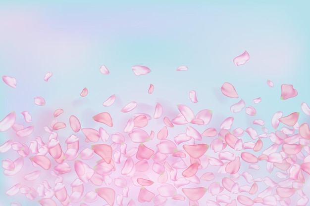 Pink falling sakura petals and flowers.Nature horizontal background.