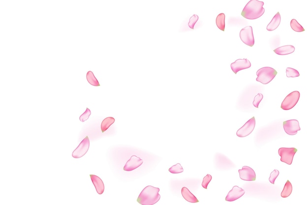 pink falling sakura petals.nature horizontal background.