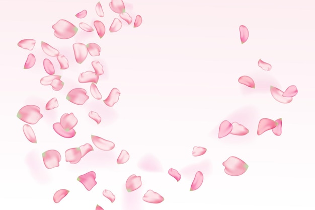 Vector pink falling sakura petals.nature horizontal background.