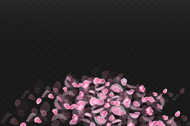 Pink falling sakura petals.Nature horizontal black background.