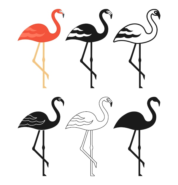 Pink flamingo bird cartoon style set tropical exotic bird cute summer symbol doodle modern character