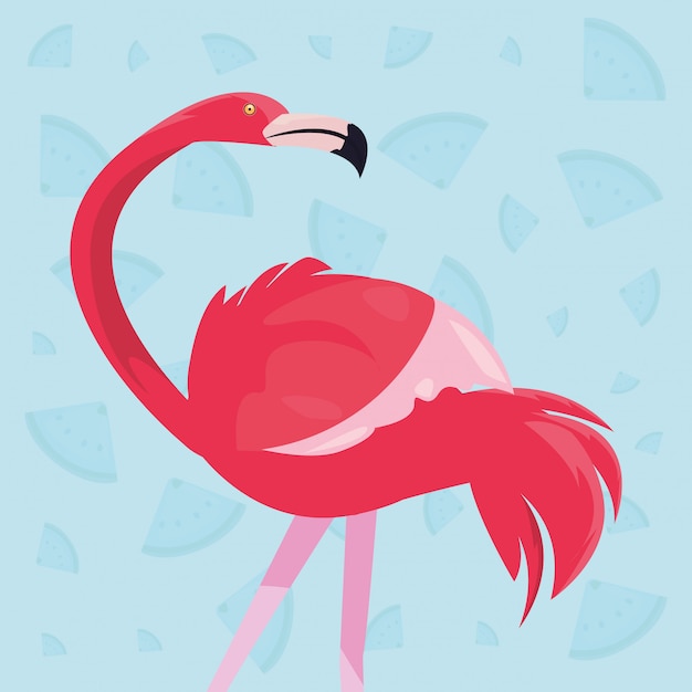 Vettore uccello fenicottero rosa esotico