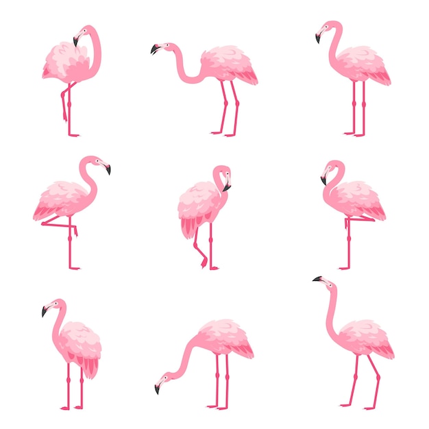 Розовый фламинго мультяшный милый зоопарк животных коллекция персонажей тропической фауны экзотическая птица в разных позах набор декоративных элементов летнего пляжа векторные крылатые существа с длинными шеями