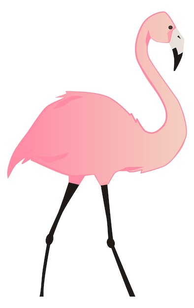 Premium Vector | Pink flamingo icon romantic cute bird exotic animal