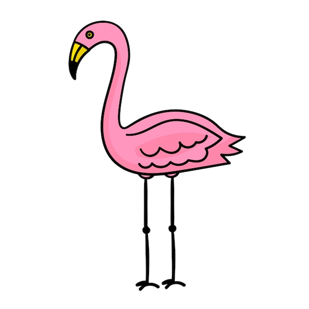 Pink flamingo isolated on white background Tropical bird standing