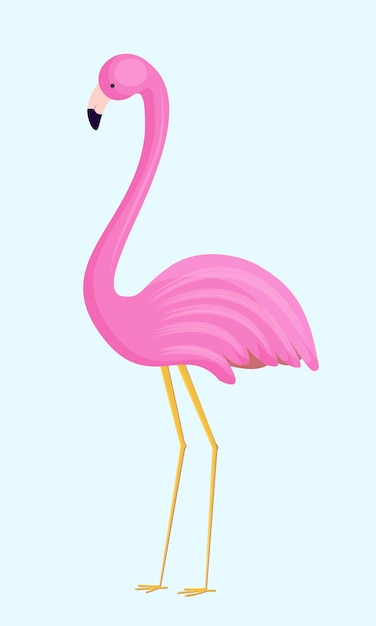 Pink flamingo isolated on white background Vector flamingo