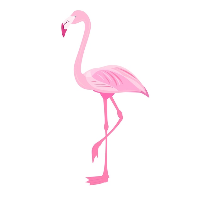 ピンクのフラミンゴ熱帯の鳥の楽園の株式ベクトルイラストと白のフラミンゴ