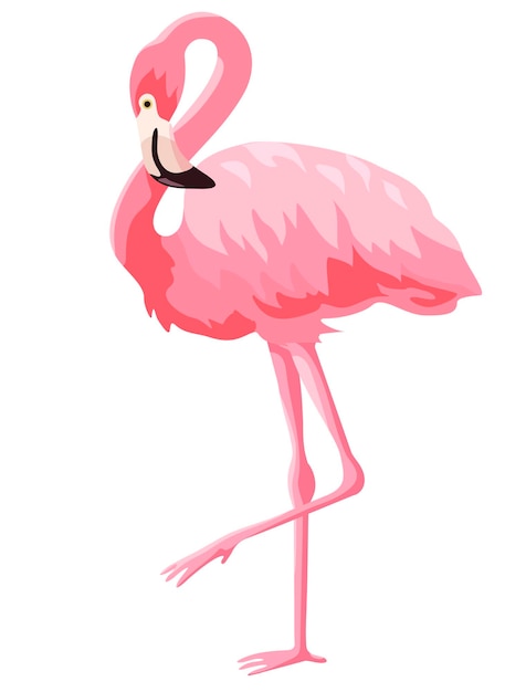 Pink flamingo vector illustration isolated on white background Flamingo is a large waterfowl