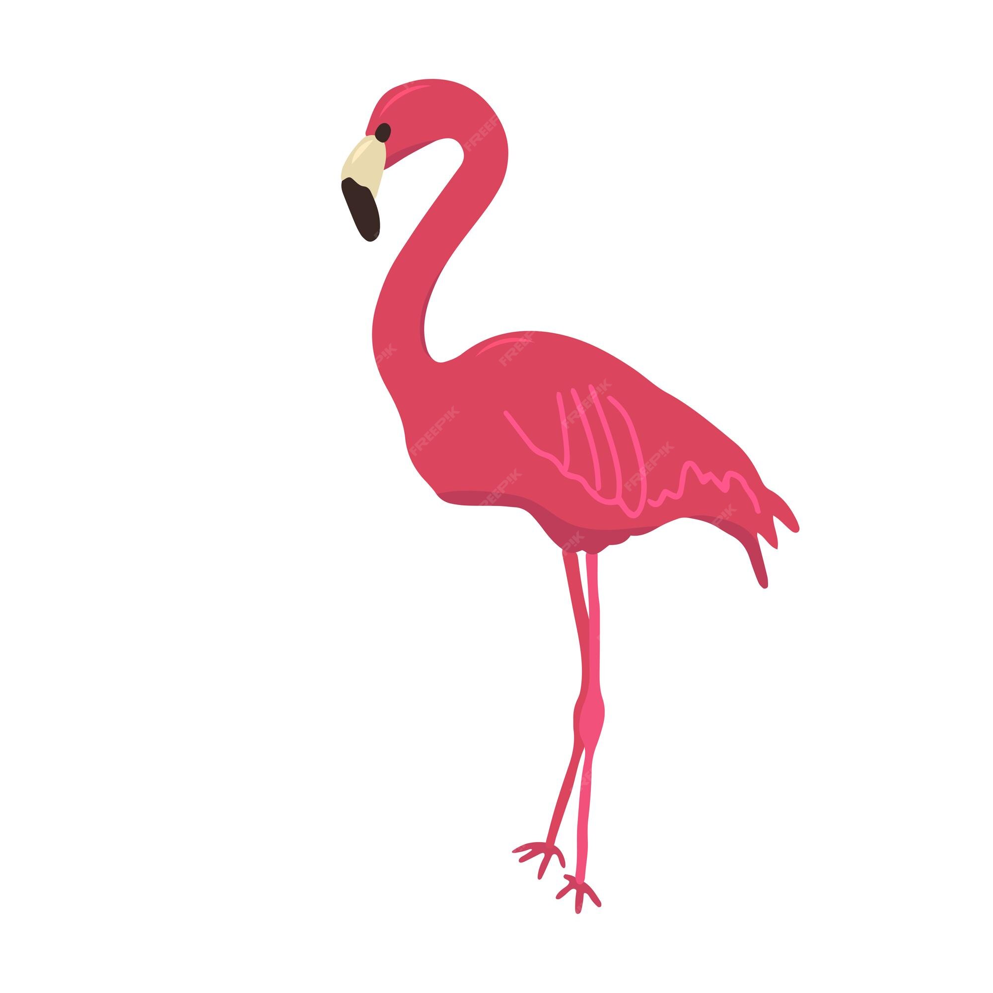Premium Vector | Pink flamingo