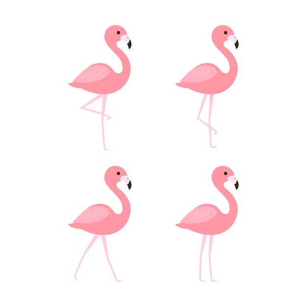 Pink flamingos