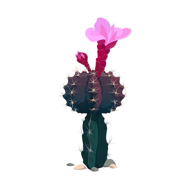 Vector pink flower blooming on mexican succulent cactus