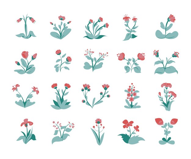 Vector pink flower collection set illustration flat style