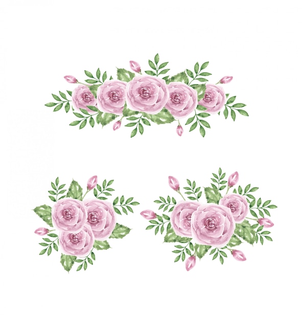 Raccolta rosa dell'acquerello dell'illustrazione del fiore