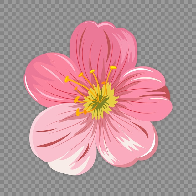 Pink flower PNG transparent images vector files