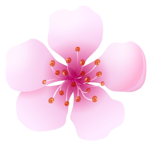 Vector pink flower realistic bloom romantic pastel petal