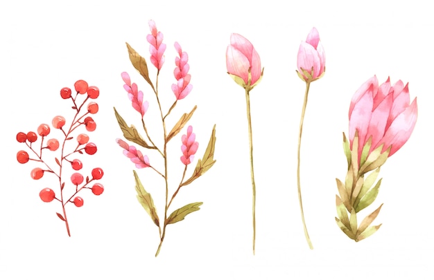 ピンクの花セットデザインのハンドペイント水彩コレクション