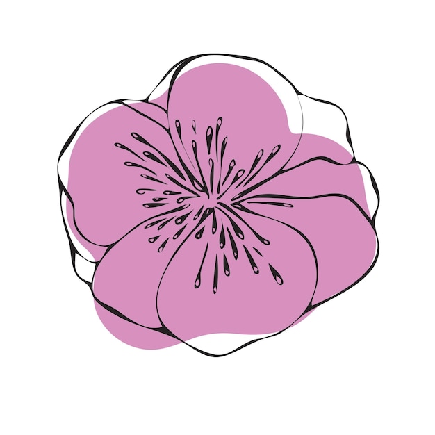 Fiore rosa nello stile del contorno e del punto dell'illustrazione di vettore del minimalismo