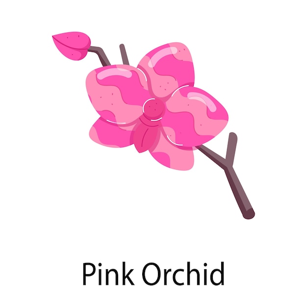 Vector pink flower with the word pink on it