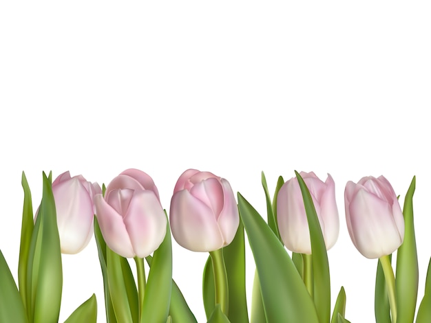 Vector pink flowers for border isolated on white background.