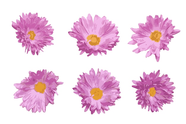 Vector pink flowers decorative elements