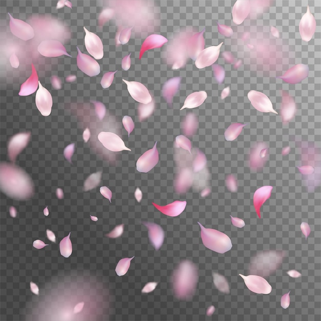 Pink flying petals with blurred defocused transparent detail