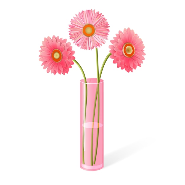 Vector pink gerberas in a vase.