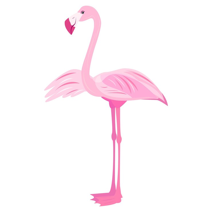 ピンクの女の子フラミンゴ熱帯の鳥の楽園の鳥フラミンゴと株式ベクトルイラスト