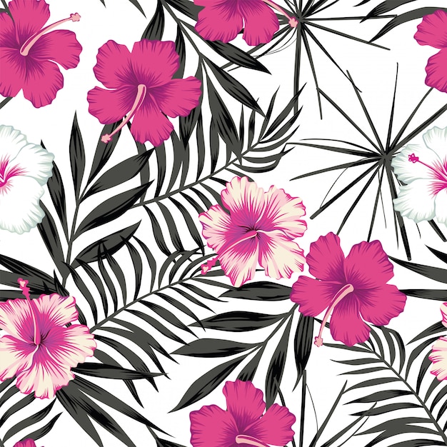 Pink hibiscus on the black leaves seamless 