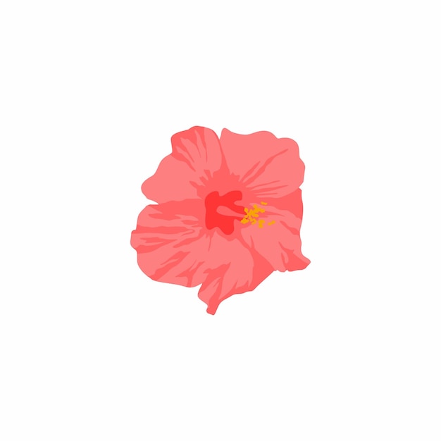 Vector a pink hibiscus flower on a white background