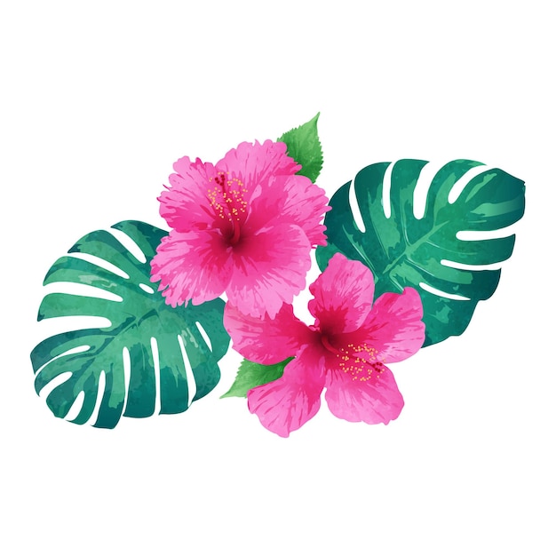 Vector pink hibiscus flower with tropical leaf arrangement isolated on white background