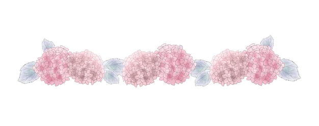 Vector pink hydrangea seamless borderline. on white background.