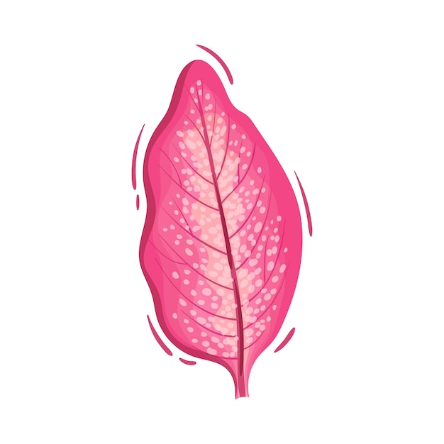 Vector pink leaf decorative vector element isolated on white background