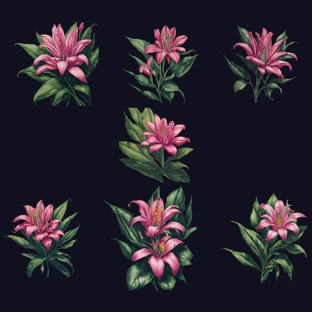 Vector pink lily flower art illustration