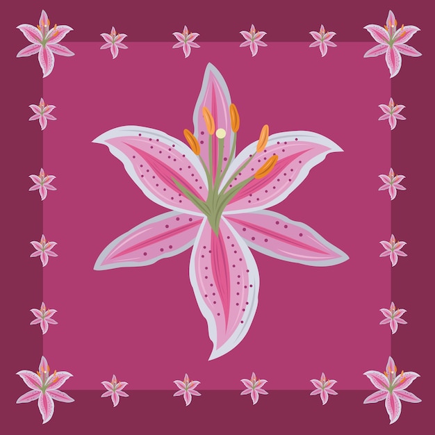 Pink lily flower wallpaper and background