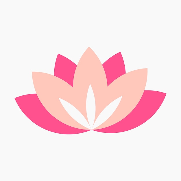 A pink lotus flower