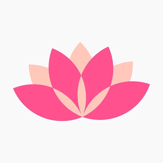 A Pink Lotus Flower