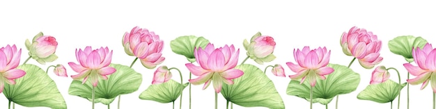 Pink lotus flowers and leaves Watercolor seamless border Tropical flora